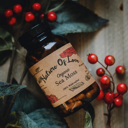 [BRSWGHYOCMGWYCDB] Sea Moss / Irish Moss kapsułki - Natural, Vegan, Organic, Non-GMO