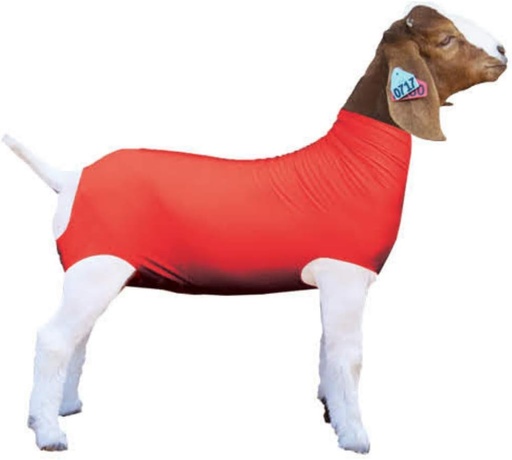 [BRSWGBQEBUORY3LH] Show Pro Red Spandex Goat Tube for Show Goats - Show Livestock Supplies: Goat Covers & Blankets