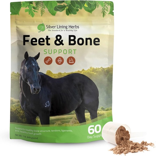 [BRSWIZ32BMMACDTA] Silver Lining Herbs Feet & Bone Support Horse Supplement Powder Natural Tendons, Ligaments & Surrounding Tissues & Hoof Supplement for Horses - Normal Limbs Circulation Horse Care Supplies - 1 LB
