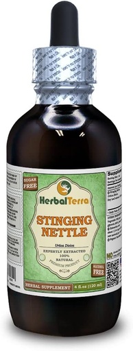 [BRSWGBQPBN6G2FLL] Stinging Nettle (Urtica Dioica) Glycerite, Organic Dried Leaves Alcohol-Free Liquid Extract (Brand Name: HerbalTerra, Proudly Made in USA) 4 fl.oz (120 ml)