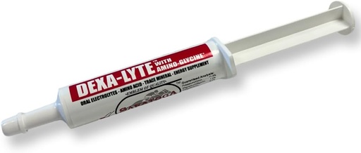 [BRSRAHD2CMGWMFA6] Dexa-Lyte - Premium Electrolyte & Amino Acid Energy Boost for Horses. Rapid Replenishment of Lost Minerals from Exercise, Dehydration and Extreme Weather. Easy to Administer Syringe.