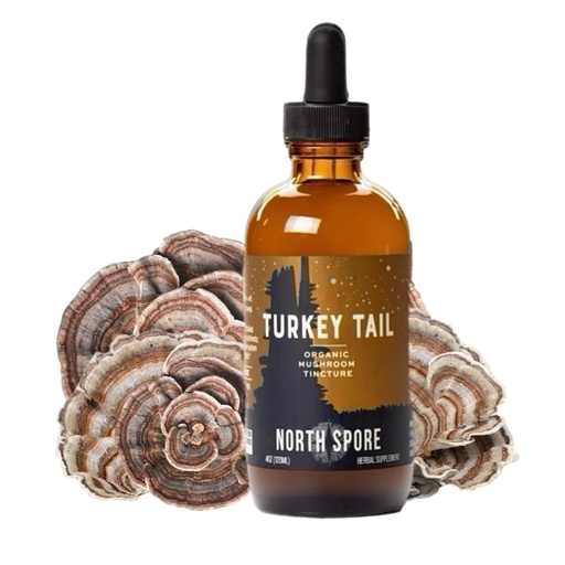 [BRSRAEIBAUDQACA4] North Spore Organic Turkey Tail Tincture | Mushroom Supplement for Immune Wellness | Sustainably Grown & Confirmed for Potency | Trametes Versicolor Extract | Vegan, Non-GMO - 4oz