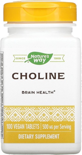 [BRSWGZQRA4GWCHT2] NATURES WAY 500Mg 100 Tb Choline, 100 CT