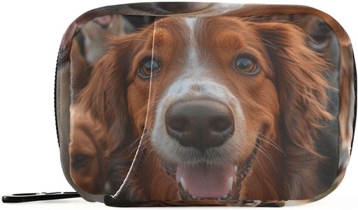 [BRSRAGQNAUFRY2T3] Weekly Pill Organizer Group Dogs Golden Retriever Small Pill Box Bag Portable Travel Pill Case 7 Days Vitamin Supplement Holder with Zipper for Family Business Camping