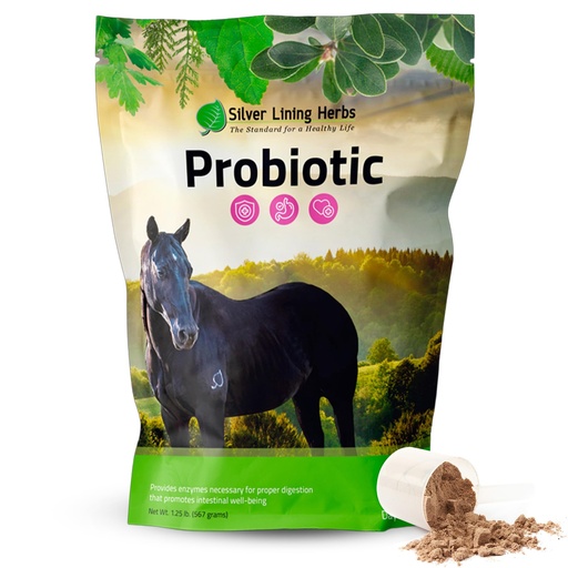 [BRSWYYY2PN4GGYLL] Horse Probiotics Digestive Supplement - 1.25 lb | Horse Probiotics, 13.2B CFU With Lactobacillus & Bifidobacterium, Digestive Enzyme & Gut Health, NASC Certified, Made in USA