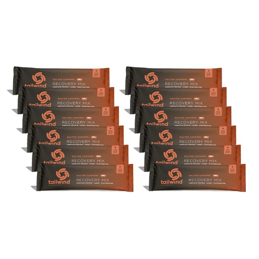 [BRSW2YLRC4AQM3Q7] Tailwind Nutrition Recovery Mix, 20 Grams Complete Protein, Carbohydrates, and Electrolytes Powder Drink Mix for Post-Workout, Free of Gluten, Soy, and Dairy, Vegan, 12 Servings, Salted Caramel