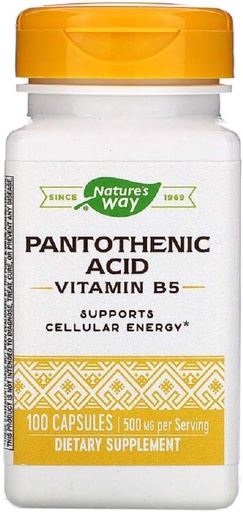 [BRSWIYYMOMOWCE3O] Nature's Way Pantothenic Acid, 100 Count (Pack of 2)