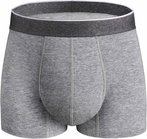 [BRSRAFA6OQIW2GQ6] Mens Incontinence Underwear Washable, 2.3 oz Absorbent Leak Proof Reusable Boxer Briefs for Bladder Control 1 Pack(Gray, XL)