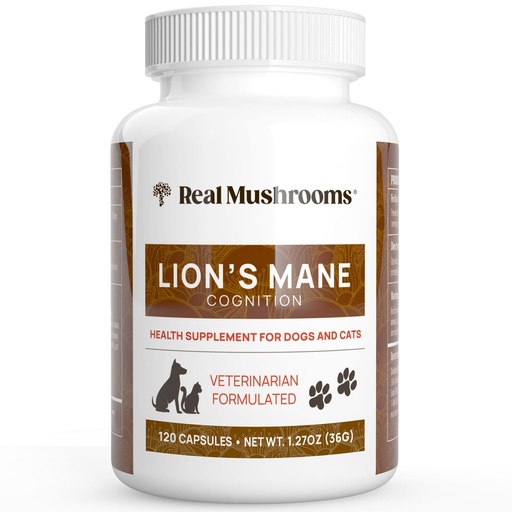[BRSW2CALAUCRME35] Real Mushrooms Lion’s Mane Pet Mushroom Supplement – Pet Wellbeing Capsules – for Cat & Dog Supplement & Vitamins – Support Mindful Routines – Organic, Vegan, Non-GMO, 120 Count