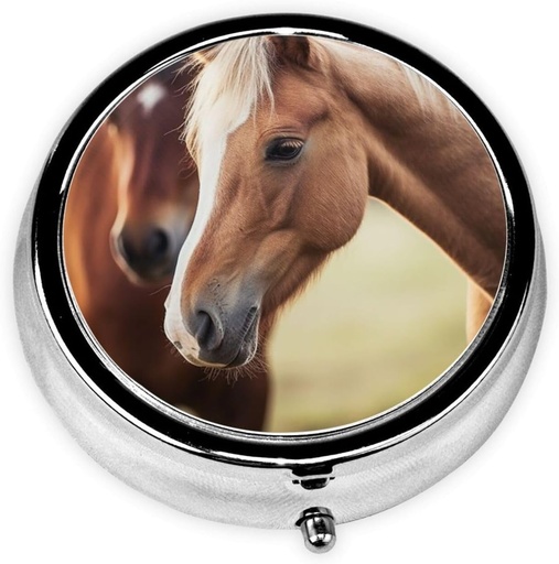 [BRSRAAY5CQBREFDH] Pill Case with Mirror Retro 3 Karşılaştırmalı Pill Box Adorable Horse Small Pill Organizer For Purse veya Pocket Dekoratif Metal Tıp Vitamini Organize Özel Hediyeler