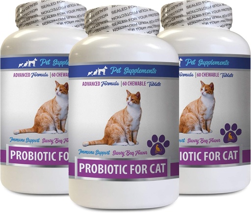 [BRSWGBQCOABQ4AIU] cat Mints for Bad Breath - CAT PROBIOTICS - Immune Support - Savory Beef Flavor - Natural Formula - cat probiotics Daily - 3 Bottles (180 Treats)