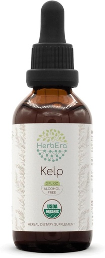 [BRSROGQHOUBRQGQ3] "HerbEra Kelp B60 USDA Organic Tincture 124; Alcohol-Free Extract", High- Potency Herbal Drops --124; Certified Organic Kelp (Assofil nodotum) Dry Plant (2 oz)