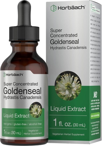 [BRSWGHA2AAFAK3DO] Horbäach Goldenseal Root Tincture | 1 Fl Oz | Liquid Extract Supplement | Hydrastis Canadensis Herb Drops | Alcohol Free | Vegetarian, Non-GMO, and Gluten Free