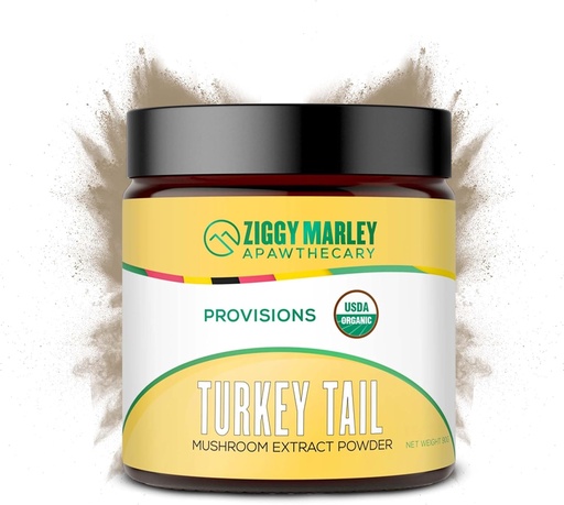 [BRSRAEIYOR7AMYA7] Ziggy Marley's USDA Organic Turkey Tail Mushroom Powder for Dogs & Cats – Support Immunity & Digestion – Fruiting Body Extract, 90 Grams