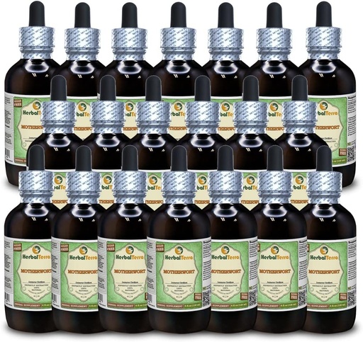 [BRSWGBQOOBYWGFDV] Motherwort (Leonurus Cardiaca) Glycerite, Organic Dried Herb Alcohol-Free Liquid Extract (Marca: HerbalTerra, Proudly Made in USA) 20x4 fl.oz (20x120 ml)