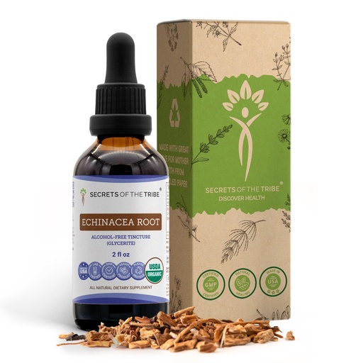 [BRSRMAQNCEDQADI7] Echinacea Root USDA Organic Tincture | Alcohol-Free Extract, High-Potency Herbal Drops, Immune System Health | Made from 100% Certified Organic Echinacea Root (Echinacea Purpurea) 2 oz