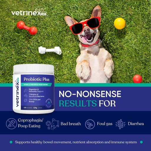 [BRSWKFYPBJ6QC332] Coprophagia Poop Eating Deterrent & Prevention, Stop & Prevent Stool Eating Treatment - Probiotics for Dogs, Cats and Puppies - Verbietet den Hund von Essen Poop - Probiotic Powder (120 GMS)