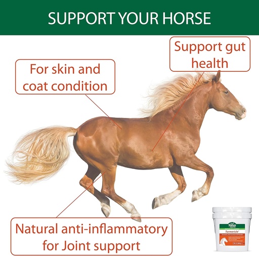 [BRSWYFQOOUGQ4G3A] Natural Turmeric Powder for Horses with Powdered Coconut Oil - Turmericle Anti-Inflamatory Horse Supplement for Healthy Hip & Joint Function - Normal Skin Health