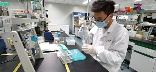 [BRSROAYDCVYAOFL3] La producció de fonts alcalina 200000 u/ml per Livestock, Poultry, Pigs i Pollastre, canals de font d'emissions d'emissions, enzyme prepara 1000 Gramms.