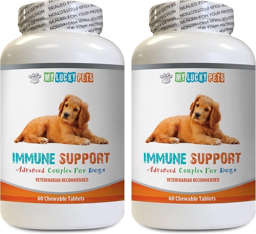 [BRSWGBA3A4OQYCY6] k9 Power Immune Dog - Dog Immune Support - Overall Health and Wellness Boost - ANTIOXIDANT - Liver Health - Turmeric Curcumin for Dogs - 2 Bottles (120 Treats)