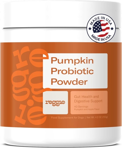 [BRSROBQQCMMBUGYZ] Reggie Pumpkin Probiotic Powder for Dogs | 7-Strain Probiotics + Pumpkin for Gut Health, Digestion & Stool Consistency | Natural Dog Digestive Supplement | Vet-Approved & Made in USA | 40 Scoops