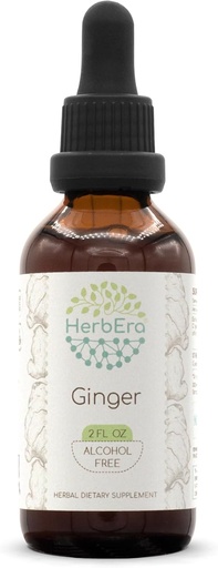 [BRSWGYALC54B4ETO] HerbEra Ginger B60 Extracto herbal libre de alcohol Tintura, jengibre superconcentrado (Zingiber officinale) 2 fl oz