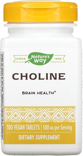 [BRSWIYT3O4FAMGQV] NATURE'S WAY Choline 500mg 100 Tablets