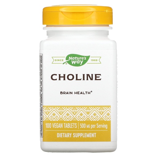 [BRSWIYT3O4FAMGQV] NATURE'S WAY Choline 500mg 100 Tablets