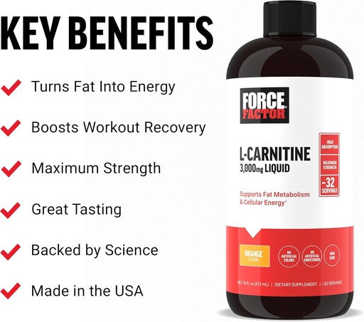 [BRSROBL6BF7RUHLP] 力因子 L Carnitine 补充剂,液态L-Carnitine 3000 mg 帮助将脂肪转化为能量,支持肌肉恢复,以及 靴状细胞能量,最大强度,非GMO,Orange Flavor, 16 Oz.