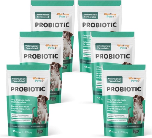 [BRSWYGI6CIDQ42YV] Wellnergy Daily Probiotic & Prebiotics Soft Chew for Dogs & Cats - Digestive Support for Diarrhea, Constipation, Upset Stomach, Indigestion & Gas - Helps Digestion, Allergy Skin & Immune Health 60ct