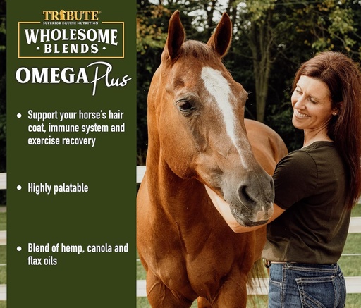 [BRSRMYYOOUCRUC3D] Wholesome Blends Omega Plus Oil Supplement for Horses, 1 Gallon