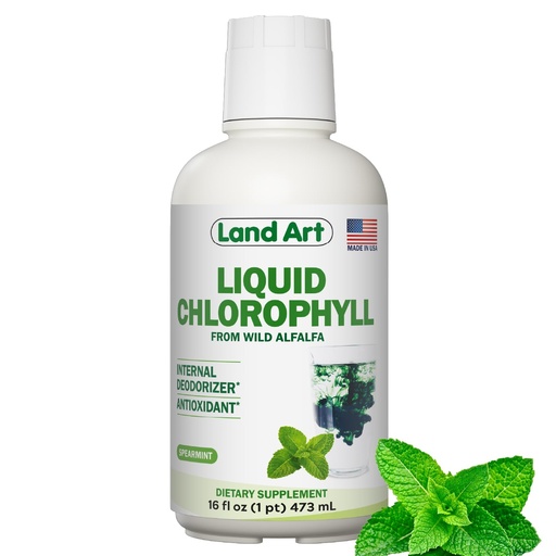 [BRSRMAIRCMMRYELL] Land Art - Liquid Chlorophyll Mint – Cold-Extracted from Wild Non-GMO Alfalfa – Natural Clorofila Liquida – Antioxidant - Detox Supplement – Boost Energy – Alkalizing & Body Odor Neutralizer – 16 floz