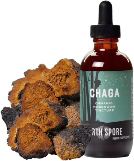 [BRSRAEIDAEPWKA33] North Spore Chaga Mushroom Tincture | Energy & Wellness Boosting Supplement Drops | Adaptogenic Superfood | Dual Extract Organic Blend, 100% Fruiting Bodies | Non-GMO, Vegan - 2oz