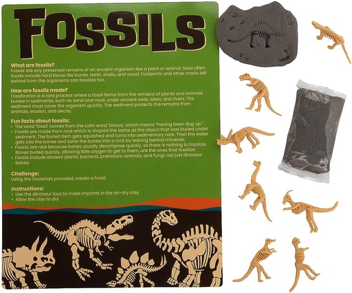 [BRSROAI5OIPAG233] Fun Express Make Your Own Fossil Craft Kit - Makes 12
