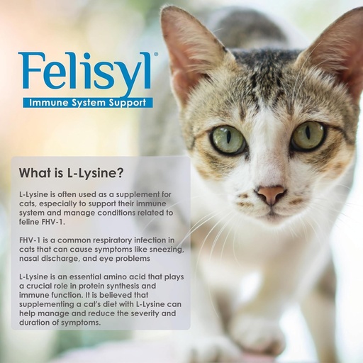 [BRSROCA2BAFWYCA3] L-Lysine Gel for Cats - Immune System Support - Supplement Support for Healthy Tissue, Respiratory, and Vision - Salmon-Flavored - Made in The USA - 5 oz
