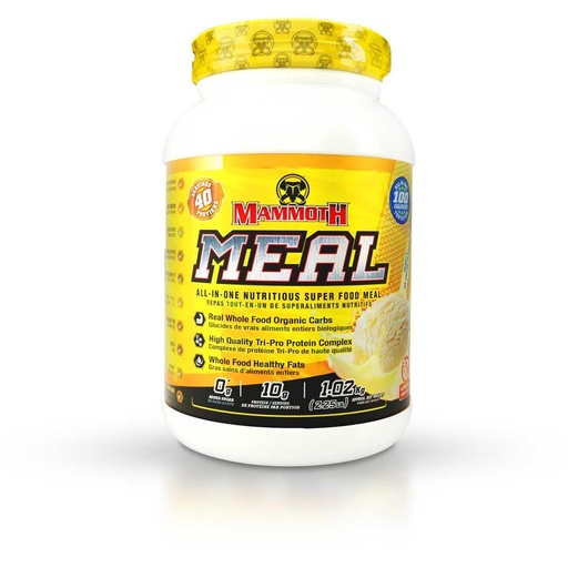 [BRSWYEILDEOREFLX] Mammoth Meal, Vanilla Ice Cream 40 serverar