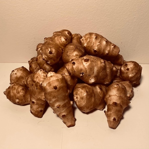 [BRSWGBAPAEAQGCDB] Sunchokes - 5 pounds (5 lbs) for Planting or Eating FEDEX 2Day