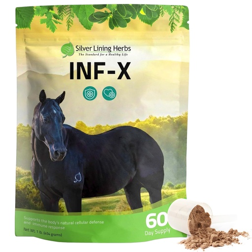 [BRSWIGAIBACBWDQV] INF-X Horse Immune Booster Supplement - 1 lb | Horse Immune Booster, Garlic, Goldenseal, Myrrh & Olive Leaf, Cellular & Natural Defense Support, 1 lb, Made in USA