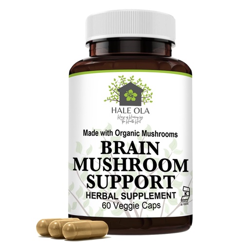 [BRSRAFQQOQFQIDLD] Brain Mushroom Support – Non-GMO & Kosher Certified Supplement with Potent Mushroom Blend for Enhanced Mental Clarity, Energy, Focus, Memory Function & Cognitive Health