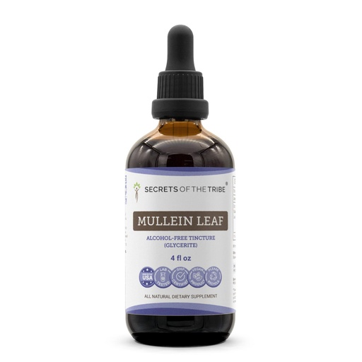 [BRSWGYIRDF7B4HL5] Secrets of the Tribe Mullein Leaf Alcohol-Free Liquid Extract, Mullein (Verbascum thapsus) Tincture Supplement (4 FL OZ)