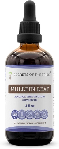 [BRSWGYIRDF7B4HL5] Secrets of the Tribe Mullein Leaf Alcohol-Free Liquid Extract, Mullein (Verbascum thapsus) Tincture Supplement (4 FL OZ)