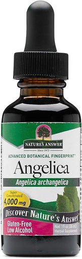 Nature's Answer Angelica Root with Organic Alcohol, 1-Fluid Ounce